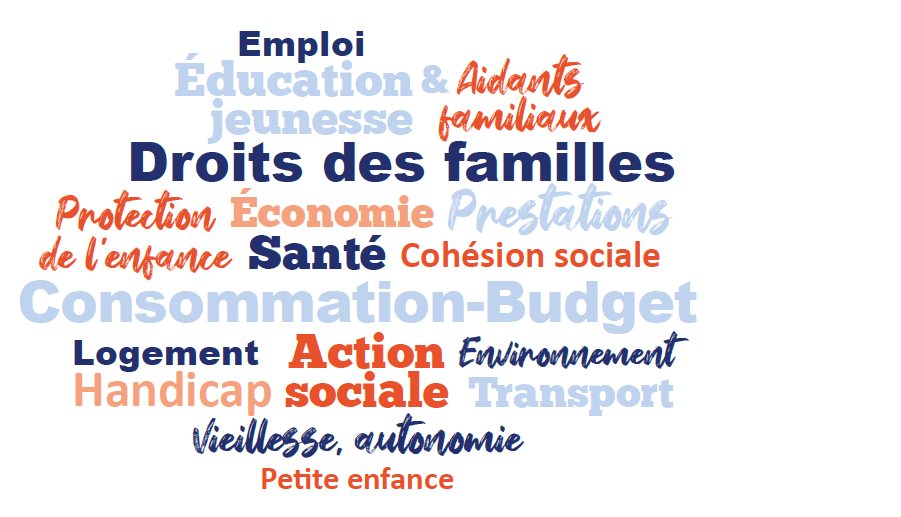 nuage de mots présentant les différents domaines des instances proposées : droit des familles, éducation et jeunesse, emploi, logement, santé, prestations sociales, conso-budget, handicap, vieillesse-autonomie, petite enfance, etc.