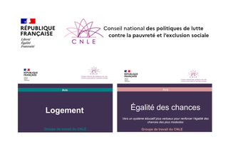 Avis CNLE